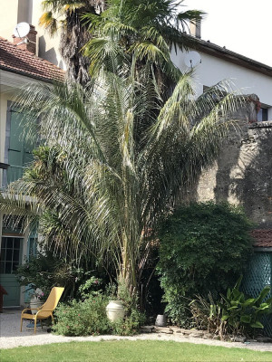 056.7 septembre 2025 (1).JPG