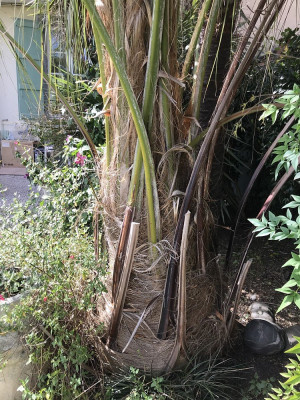 056.7 septembre 2025 (4).JPG