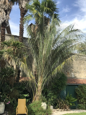 056.7 septembre 2025 (7).JPG