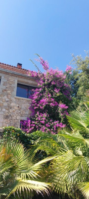 20240709_163824 (Moyenne).jpg