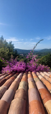 20240709_091107 (Moyenne).jpg