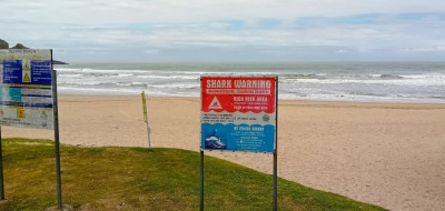 No swimming ! malheureux