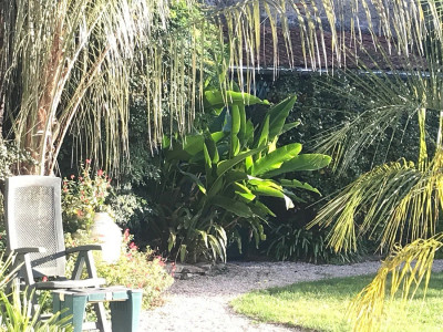 Une vue au soleil matinal