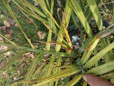 IMG_20251123_115817.jpg (236.39 Kio) Vu 701 fois Ça dégénère...