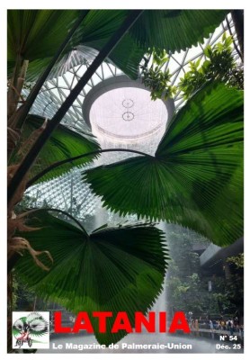 Capture d’écran 2026-01-09 155840.jpg