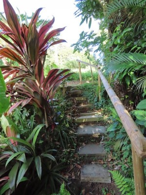 Entrée ouest de la palmeraie.