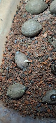 20260417_225400 (Moyenne).jpg