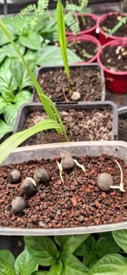 20260417_225725 (Moyenne).jpg