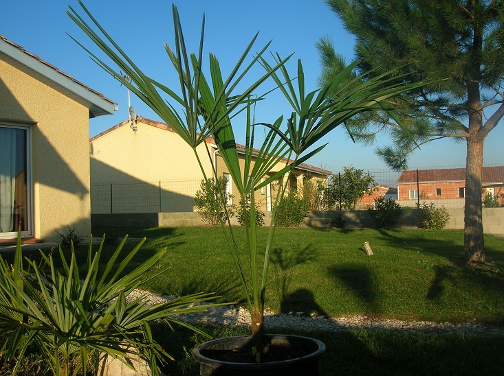 DSCN3795.JPG
