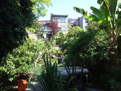 DSCF8202bis.JPG