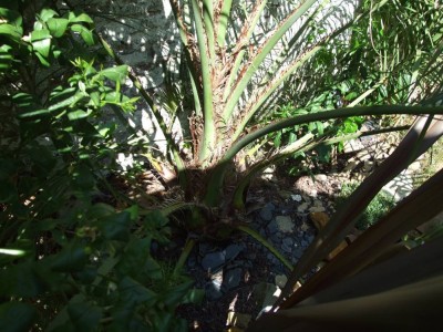 DSCF8214bis.JPG