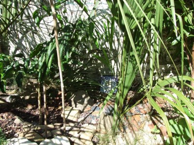 DSCF8218bis.JPG