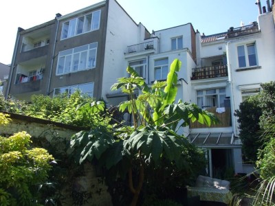 DSCF8224bis.JPG