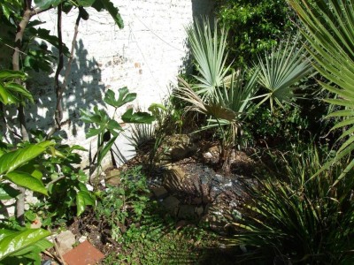 DSCF8225bis.JPG