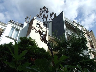 DSCF8263bis.JPG