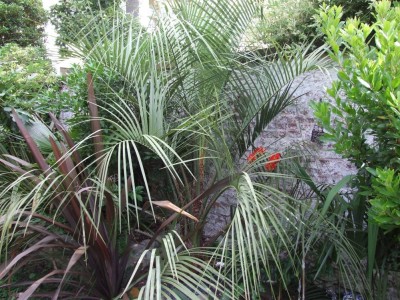 DSCF8267bis.JPG