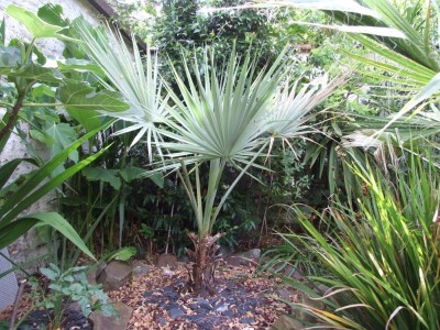 DSCF8271bis.JPG