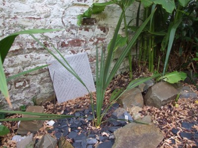 DSCF8272bis.JPG