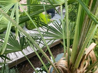 IMG_9421 - Petite.jpeg