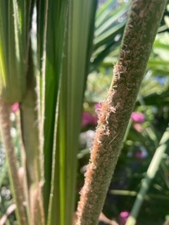 IMG_9430 - Petite.jpeg