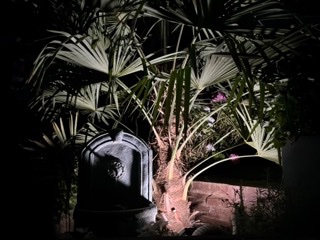 IMG_4592 - Petite.jpeg