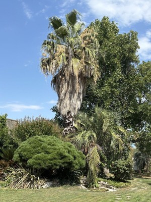 IMG_4876 (1).jpeg
