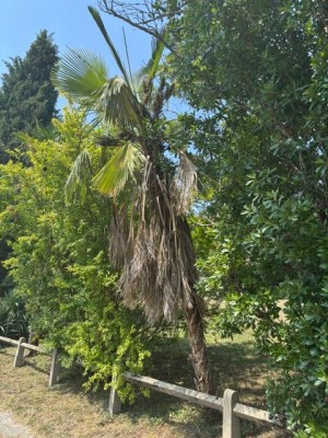 IMG_4904.jpeg