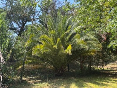 IMG_4905.jpeg