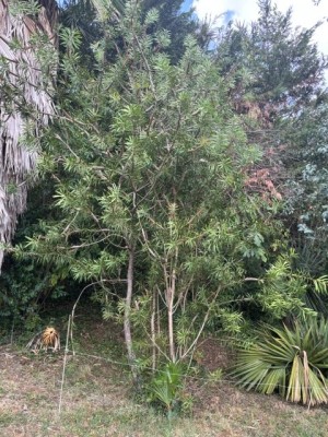 IMG_4908.jpeg