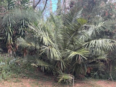 IMG_4912.jpeg