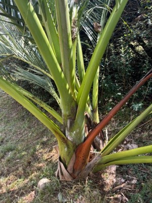 IMG_4919.jpeg