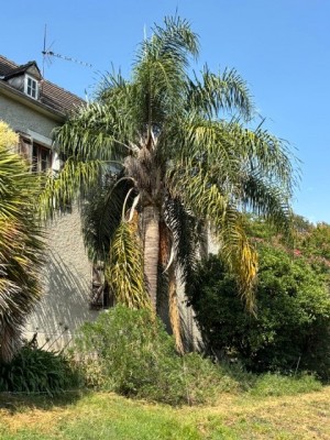 IMG_4929.jpeg