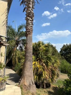 IMG_4926.jpeg