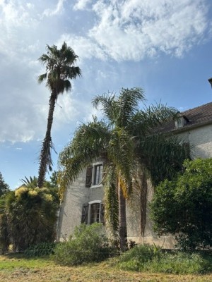 IMG_4938.jpeg