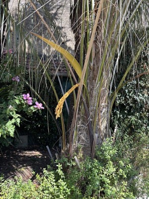 IMG_4989.jpeg