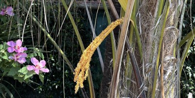 IMG_4988+.jpg