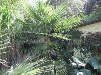 DSCF8299bis.JPG