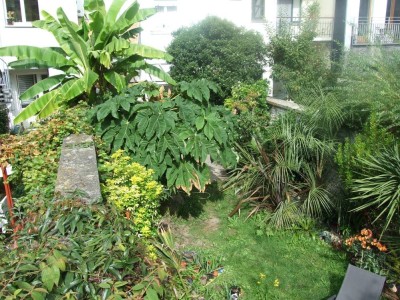 DSCF8335bis.JPG