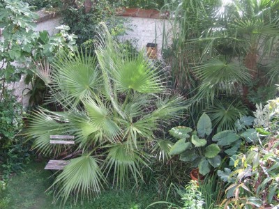 DSCF8357bis.JPG