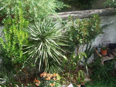DSCF8358bis.JPG