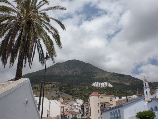 CIMG1478 (600x450).jpg