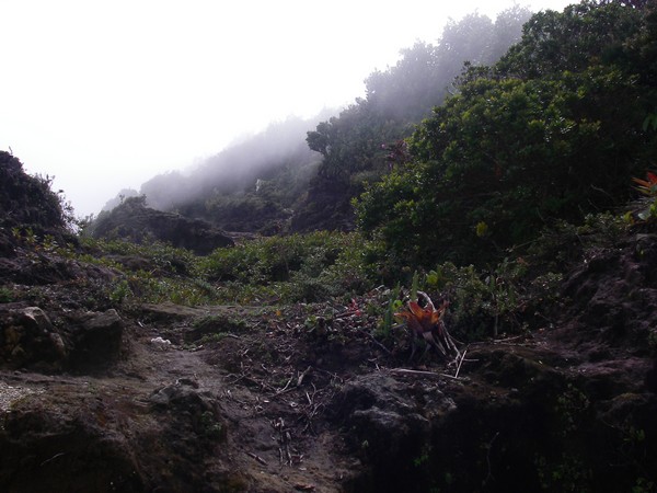 Costa Rica 2011 033 bis.jpg