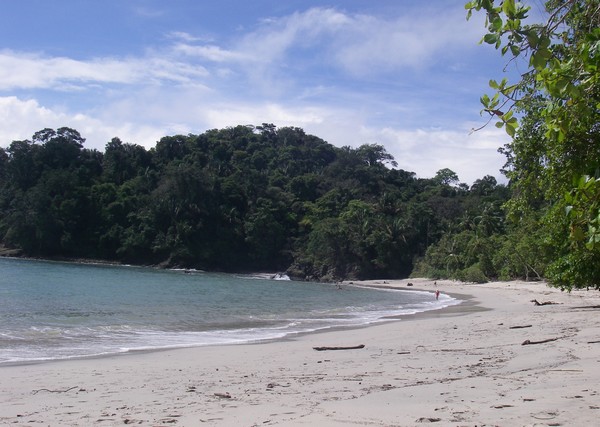 Playa Manuel Antonio Costa Rica 2011 539 bis.jpg