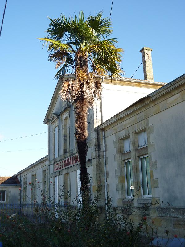 petite préférence pour celui là, l'école derrière, est celle où j'ai usé mes culottes courtes..