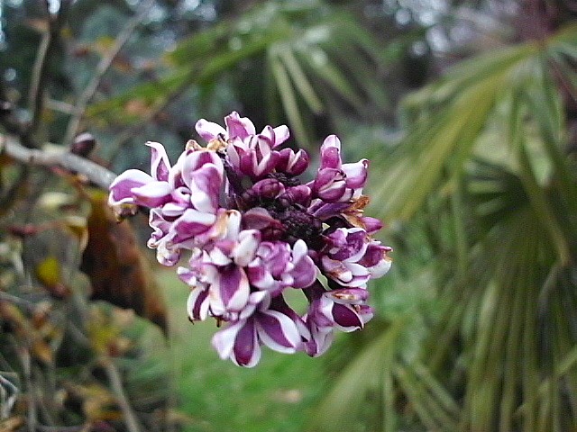 HPIM0304.JPG