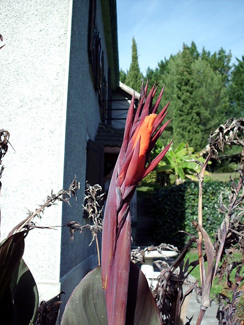 HPIM0306.JPG