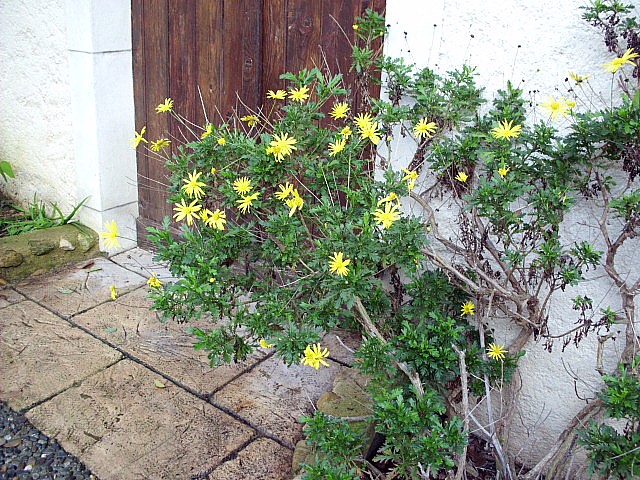 HPIM0309.JPG