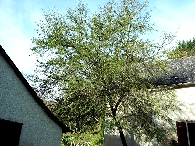 HPIM0310.JPG