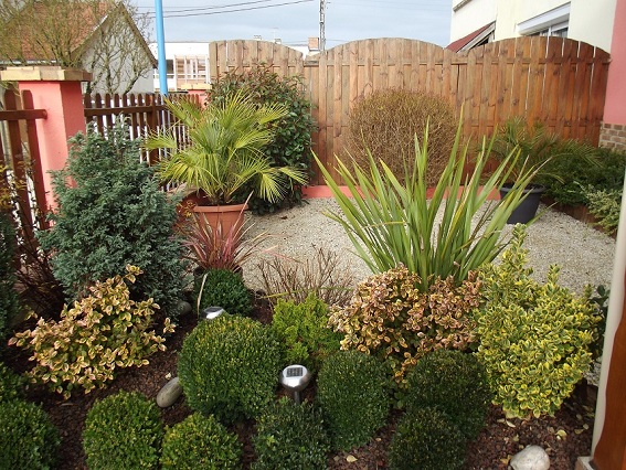DSCF0579.JPG