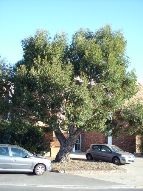 HPIM0317.JPG